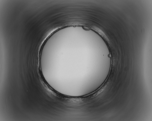 X0000086720844200705041326