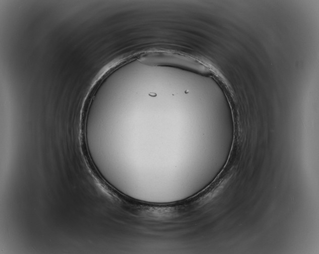 X0000086720845200705041326