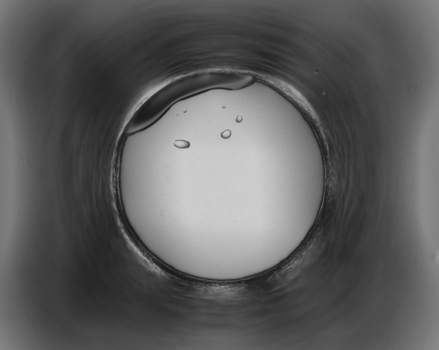 X0000086720847200705041326