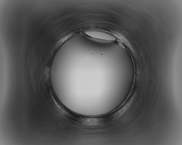X0000086720849200705041326
