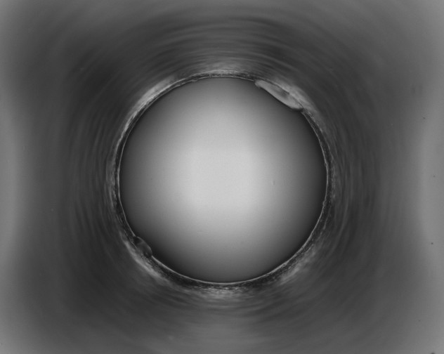 X0000086720850200705041326