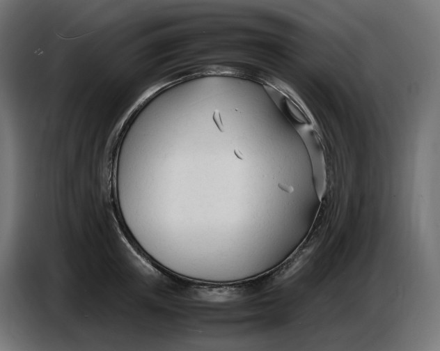 X0000086720851200705041326