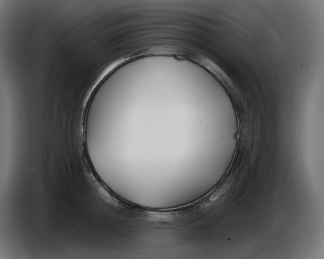X0000086720852200705041326