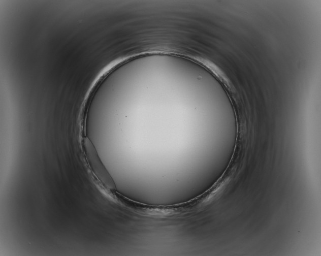 X0000086720854200705041326