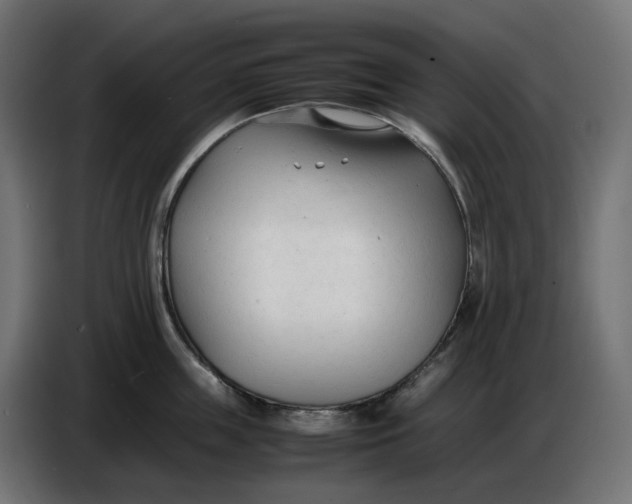 X0000086720859200705041326
