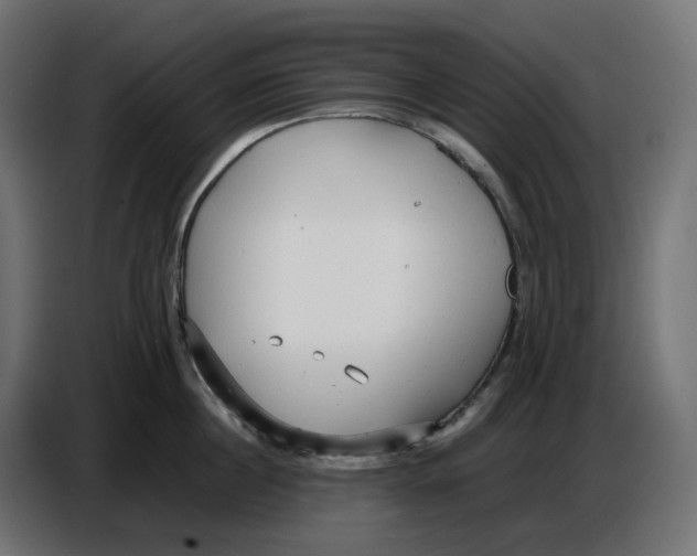 X0000086720860200705041326