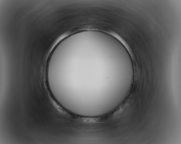X0000086720861200705041326