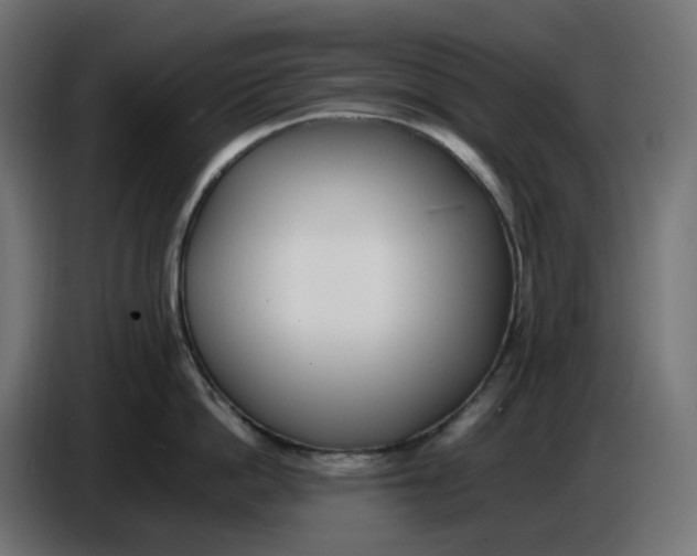 X0000086720862200705041326