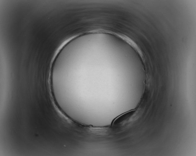 X0000086720863200705041326