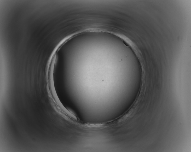 X0000086720864200705041326