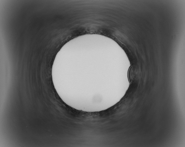 X0000086720865200705041326