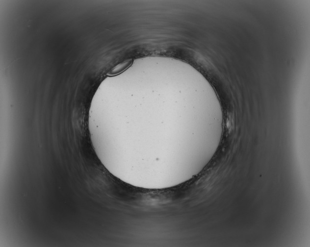 X0000086720867200705041326