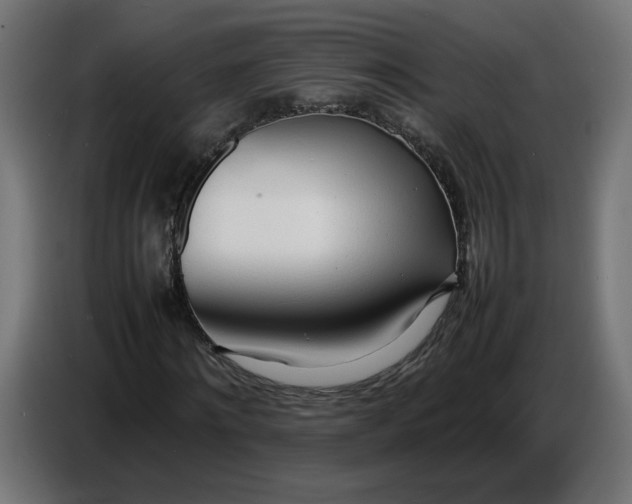 X0000086720868200705041326