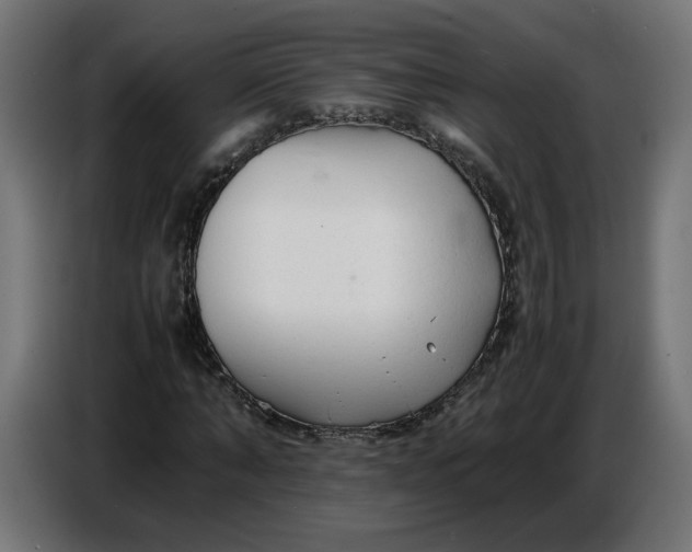X0000086720870200705041326