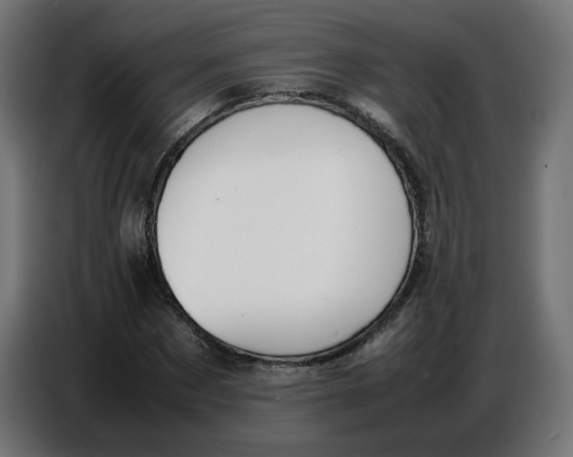 X0000086720873200705041325