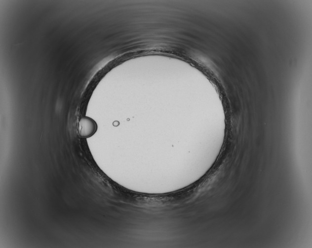 X0000086720875200705041325