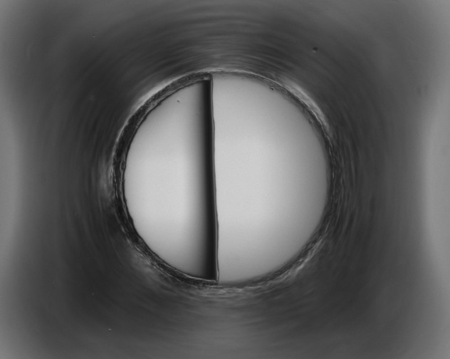 X0000086720876200705041325