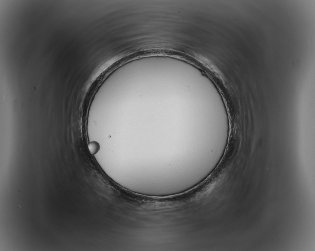 X0000086720877200705041325