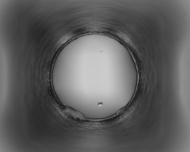 X0000086720881200705041325