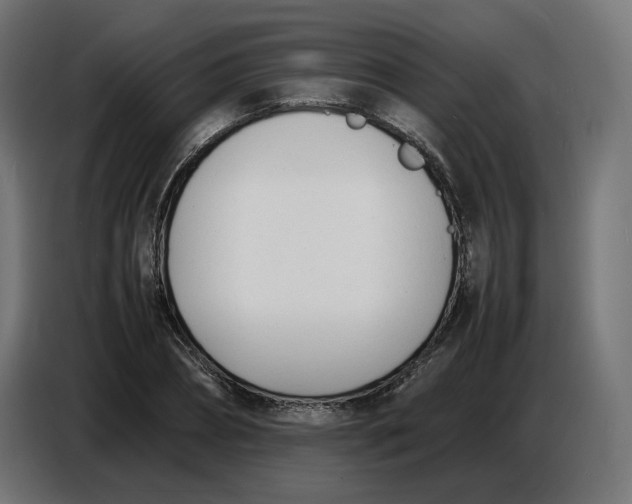 X0000086720882200705041325
