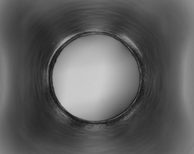 X0000086720884200705041325