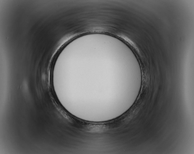 X0000086720886200705041325