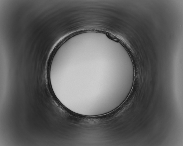 X0000086720888200705041325