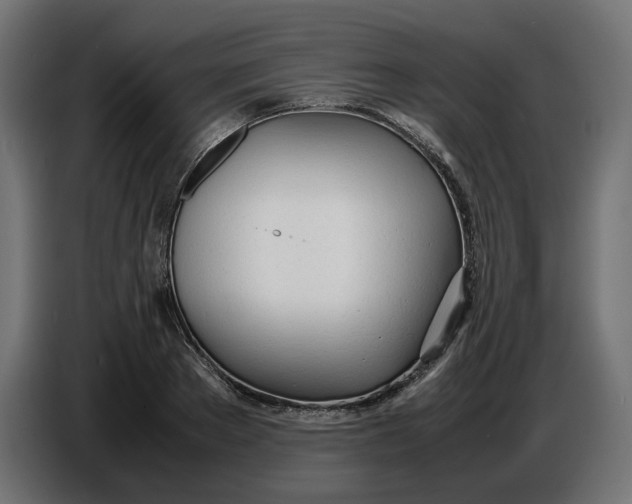 X0000086720889200705041325