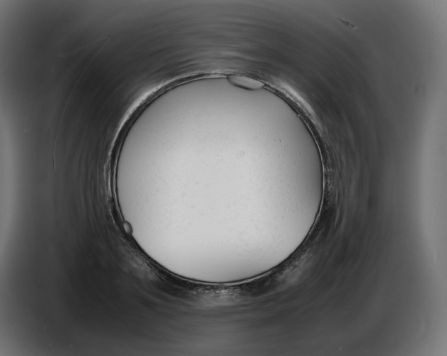 X0000086720891200705041325