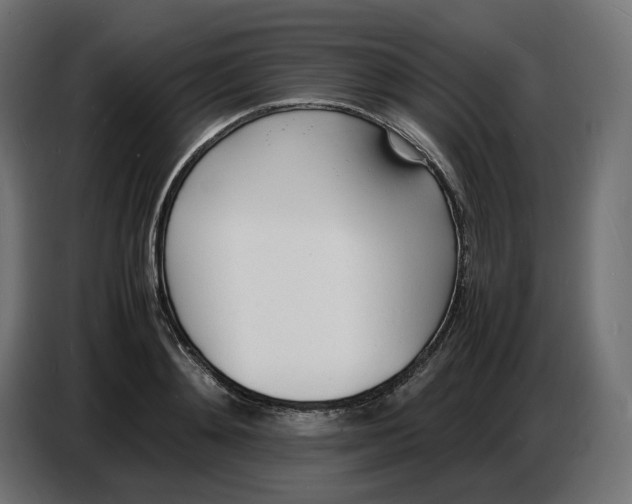 X0000086720892200705041325