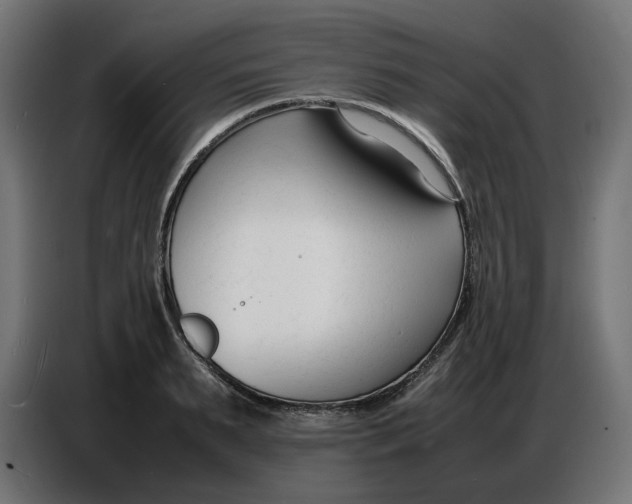 X0000086720895200705041325
