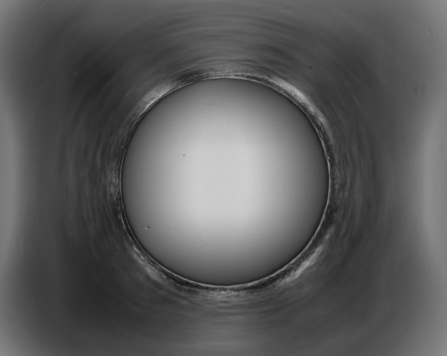 X0000086720897200705041325