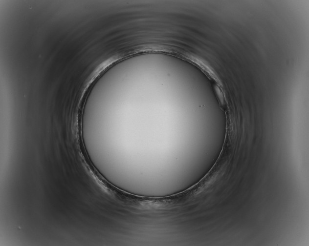 X0000086720898200705041325