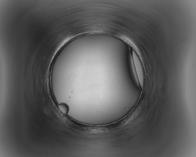 X0000086720899200705041325