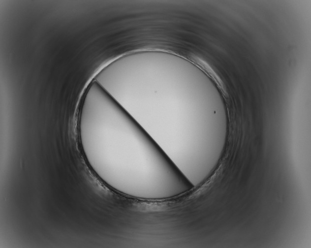 X0000086720900200705041325