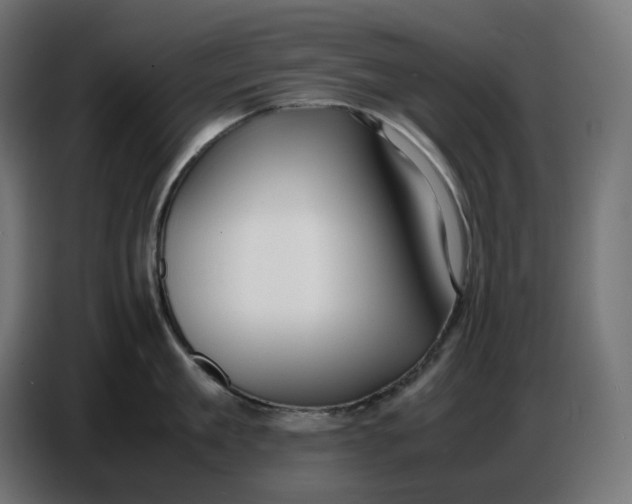 X0000086720909200705041325