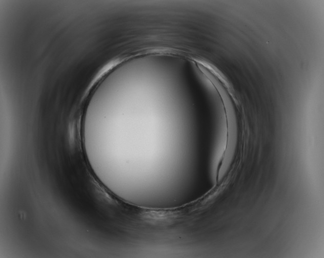 X0000086720910200705041325