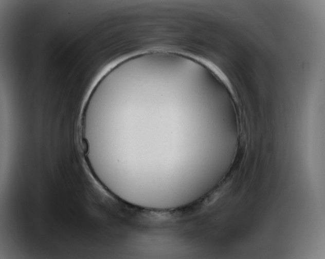 X0000086720911200705041325