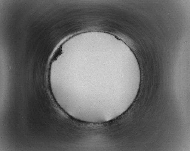 X0000086720912200705041325