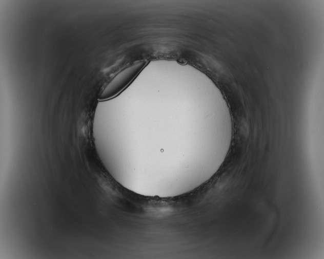 X0000086720914200705041324