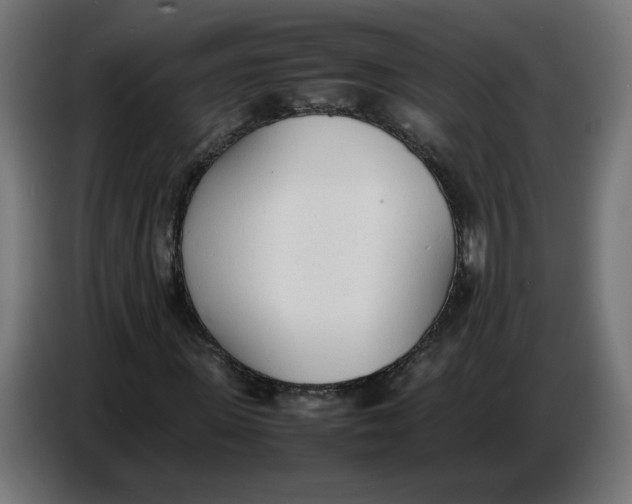 X0000086720915200705041324