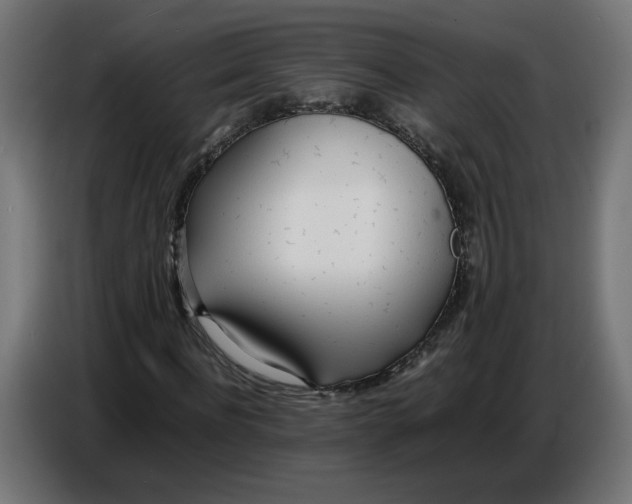 X0000086720916200705041324