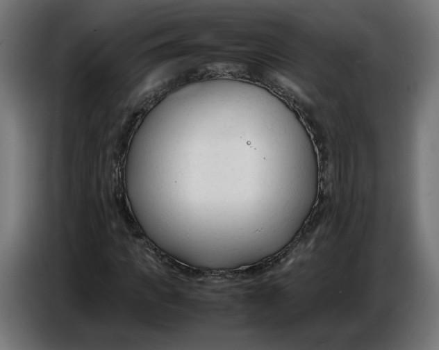 X0000086720917200705041324