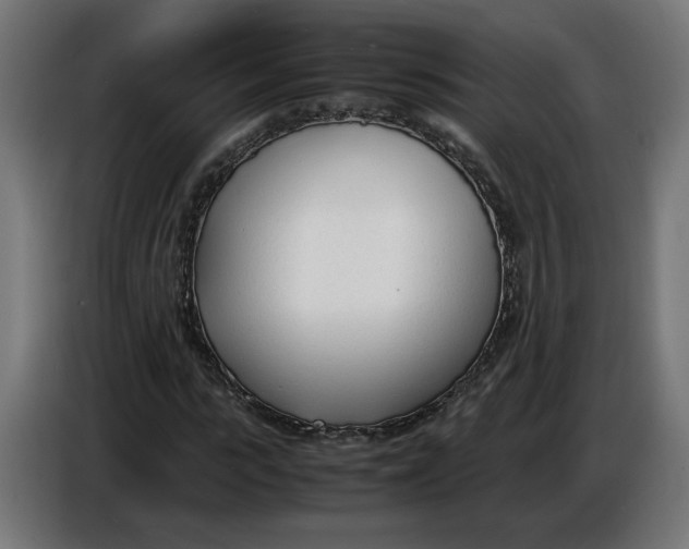 X0000086720919200705041324