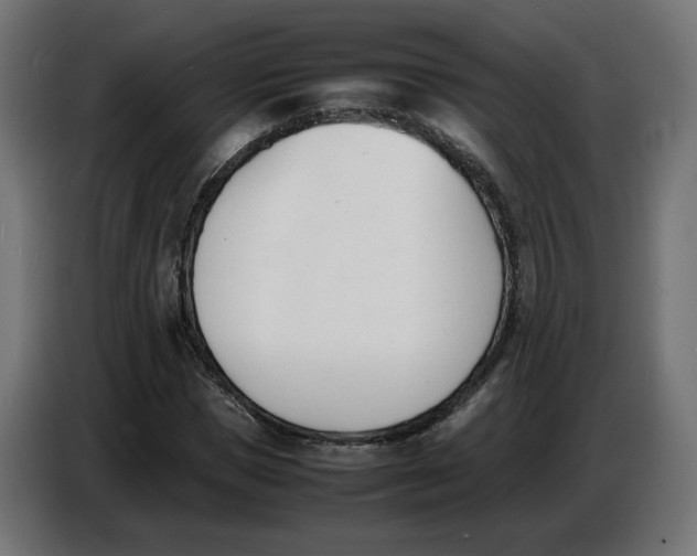 X0000086720921200705041324