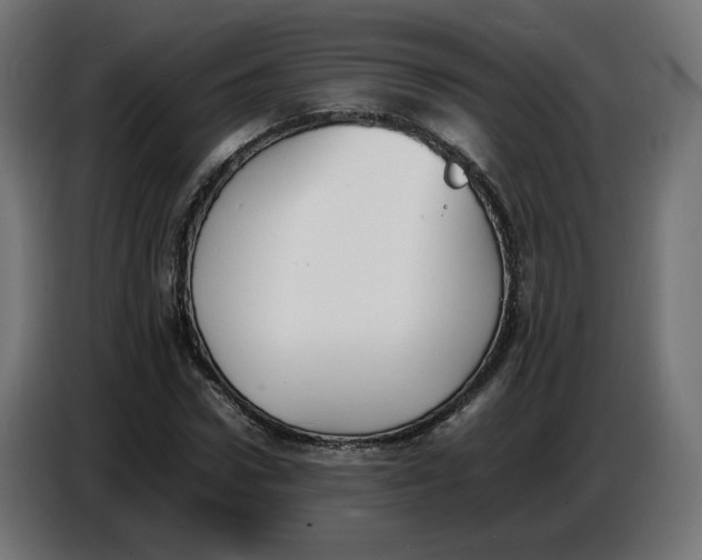 X0000086720922200705041324