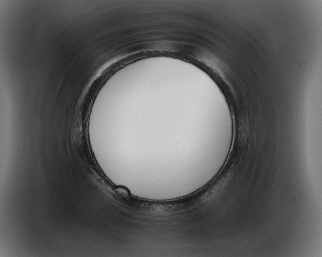 X0000086720923200705041324