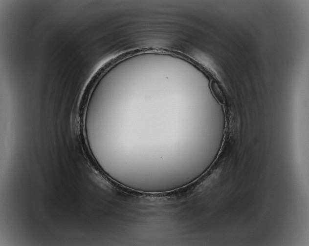 X0000086720924200705041324