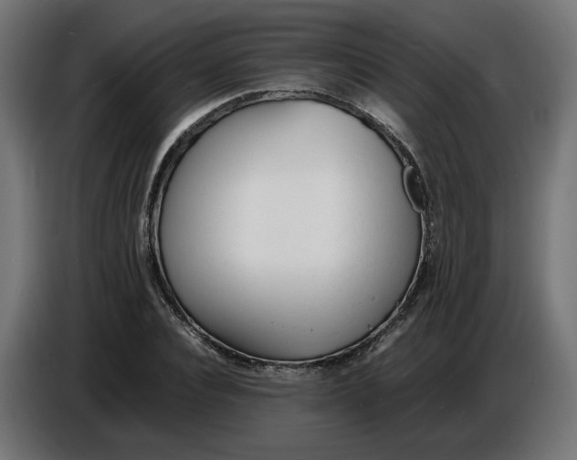 X0000086720928200705041325