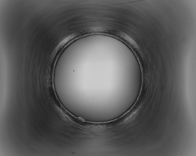 X0000086720930200705041325